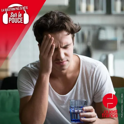 D'où vient la migraine ?