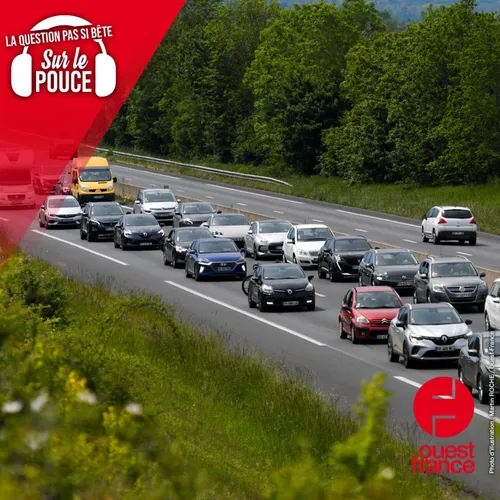 D'où vient le nom bison futé ?