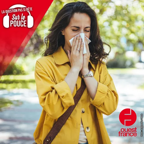 Comment différencier un virus d'une allergie quand on a le nez qui...