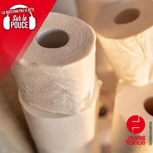 Comment faisaient nos ancêtres pour s'essuyer les fesses ?