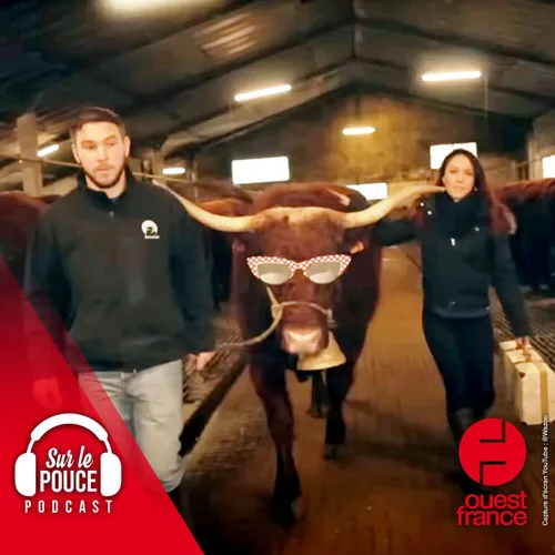27 février 2023 - Une chanson pour Ovalie, la vache star du salon...