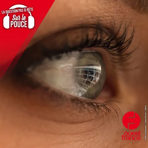 Comment voit-on les images de notre pensée ?