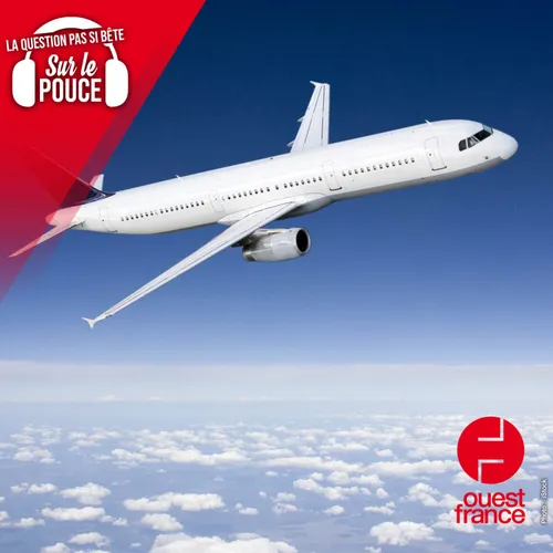 Pourquoi les avions sont-ils majoritairement de couleur blanche ?