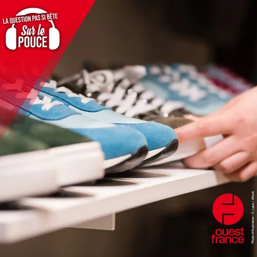 Pourquoi ne mesure-t-on pas les pointures des chaussures en...