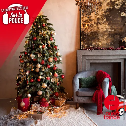 Quand faut-il enlever son sapin de Noël ?