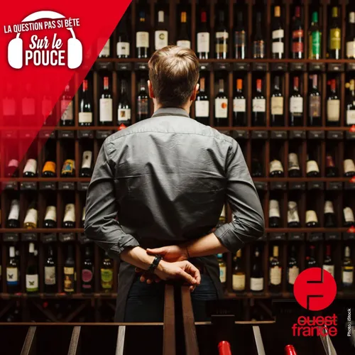 Pourquoi le vin s’améliore-t-il en vieillissant ?