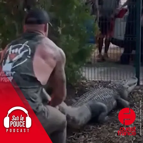 2 juin 2023 - Il terrasse un alligator pour protéger des écoliers