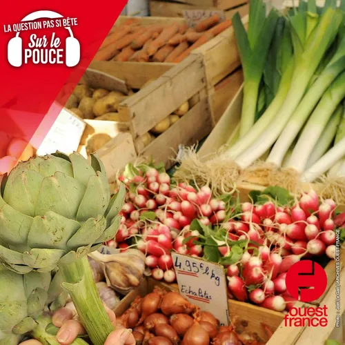 Pourquoi dit-on qu’il faut manger 5 fruits et légumes par jour ?