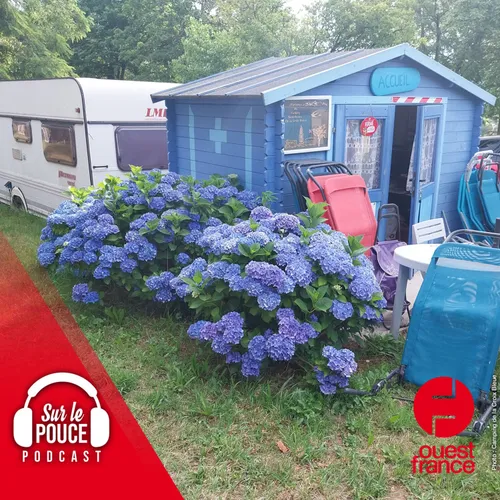 8 août 2023 - Dans ce camping, l'alcool est interdit