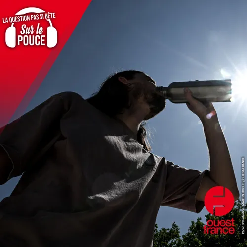 Les épisodes de forte chaleur ont-ils un impact sur notre santé...