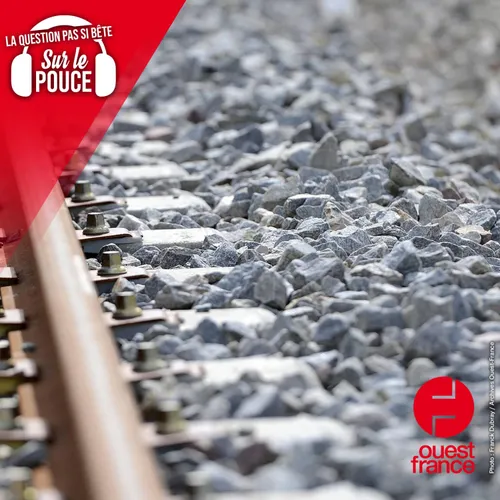 Pourquoi y a-t-il des pierres entre les rails de train ?
