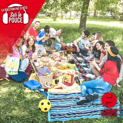 Depuis quand fait-on des pique-niques ?