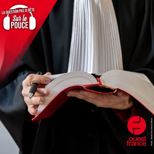 Pourquoi parle-t-on de barreau et de bâtonnier chez les avocats ?