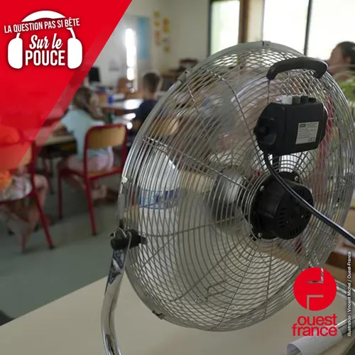 Pourquoi la plupart des écoles françaises ne sont-elles pas...