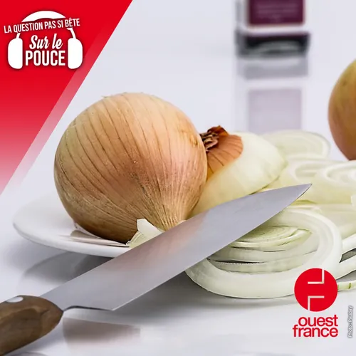 Peut-on manger des oignons tous les jours ?
