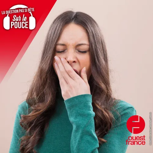 Pourquoi met-on la main devant sa bouche quand on baille ?