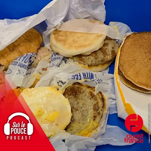 1 Août 2022 - 1 800 € d'amende pour des burgers dans un sac à dos