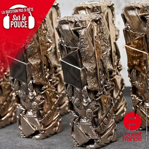 Combien gagnent les lauréats des César et des Oscars ?