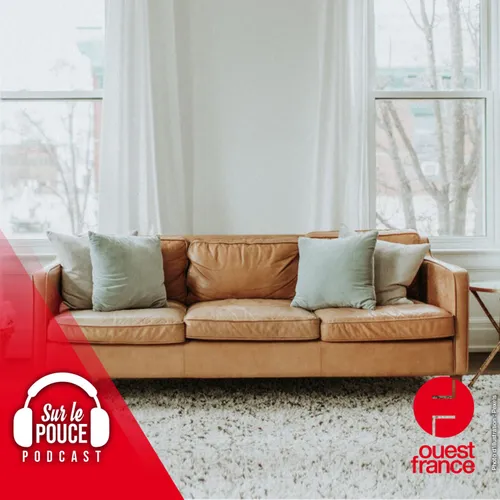 27 juillet 2023 - Il oublie 18 000 € dans le canapé qu'il vient de...