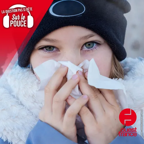 Est-ce que le froid tue vraiment les microbes ?