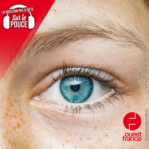 Les cils et les sourcils peuvent-ils repousser ?