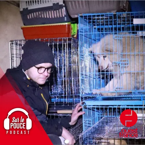 22 mars 2022 - Ce vétérinaire a sauvé des centaines d’animaux en...