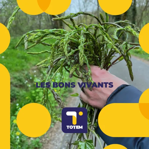 RECETTE DU JOUR - Semaine spéciale "Comment cuisiner les...