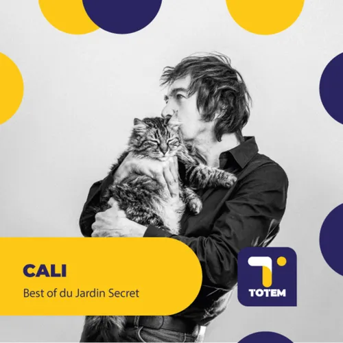 BEST OF - Cali et ses débuts nationaux avec l'album "L'amour parfait"