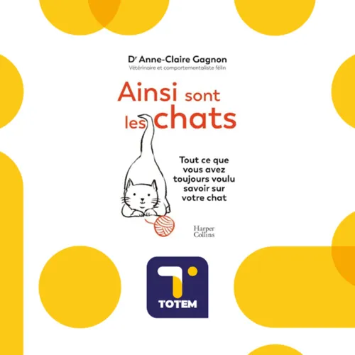 Tout ce que vous avez toujours voulu savoir sur le chat