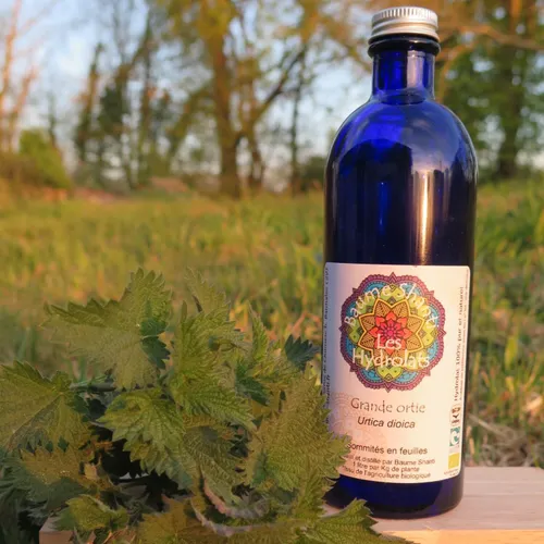 Atelier hydrolat avec Baume Shanti le 25 novembre à Bannalec