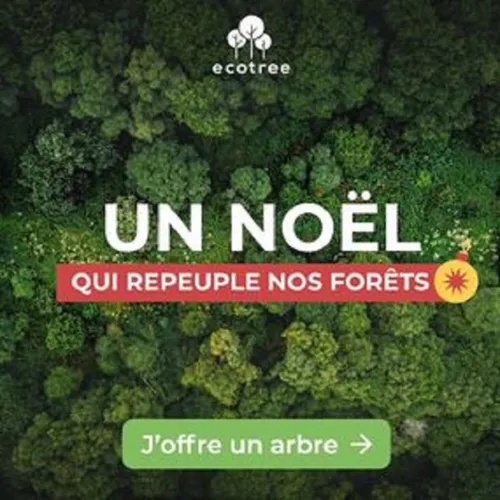Offrez un arbre à Noël avec EcoTree !
