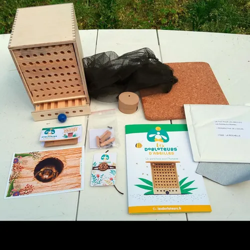 Et si vous deveniez Dorloteurs d'Abeilles ?