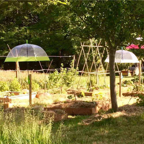 Courgettes & Cie créé une aire gourmande à Quimper