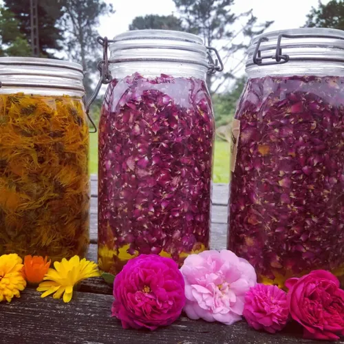 Secret de magicienne : une crème fluide à la rose qui a besoin de...