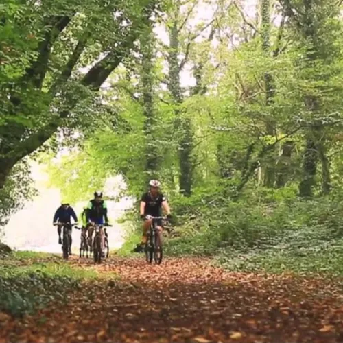 Envie d'un week-end sportif autour de Vannes ? Les bons plans de...