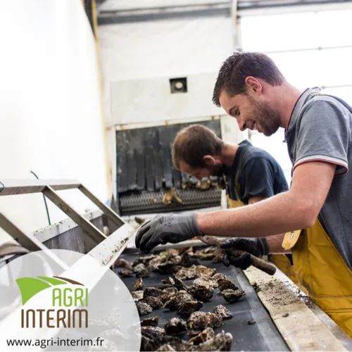 Ostréiculture, paysage, agriculture, ils recrutent en ce moment !