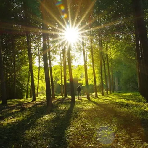 Permaculture : comment capter et stocker l'énergie ?