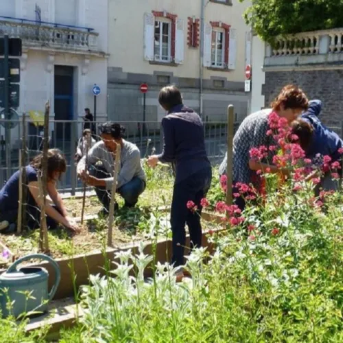 Jardiner au naturel : une nouvelle formation gratuite en ligne !