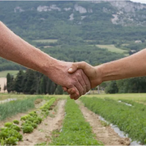 En route vers l'auto-régulation avec la Permaculture !