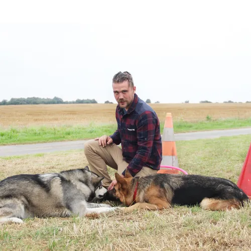 A St Guen, Gwen Chesnel est comportementaliste canin