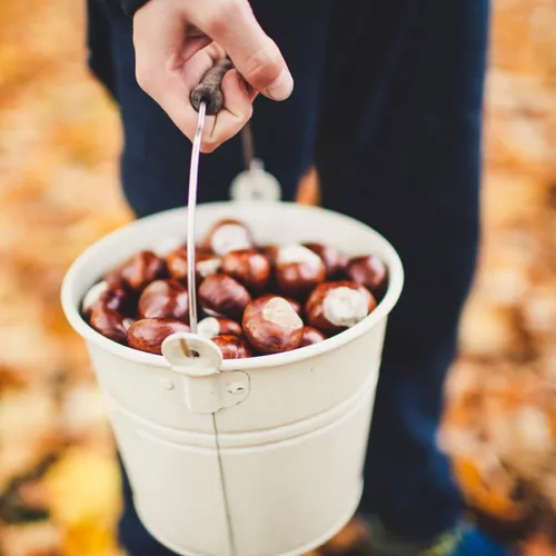 Lessive de marrons, on essaye ?