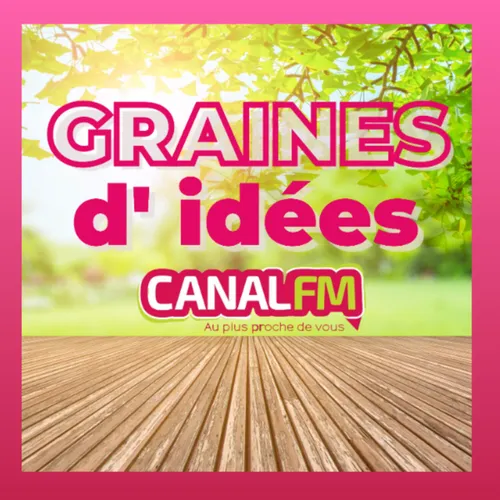 CANAL FM