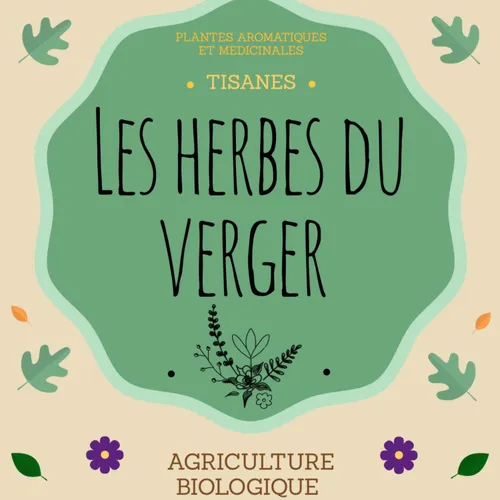 Les tisanes des Herbes du Verger à Riec sur Belon