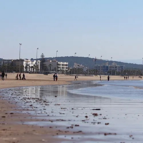 Balade découverte sur l'estran à Concarneau