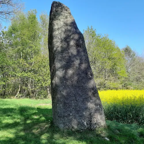 Une chasse aux menhirs insolite dans le Morbihan