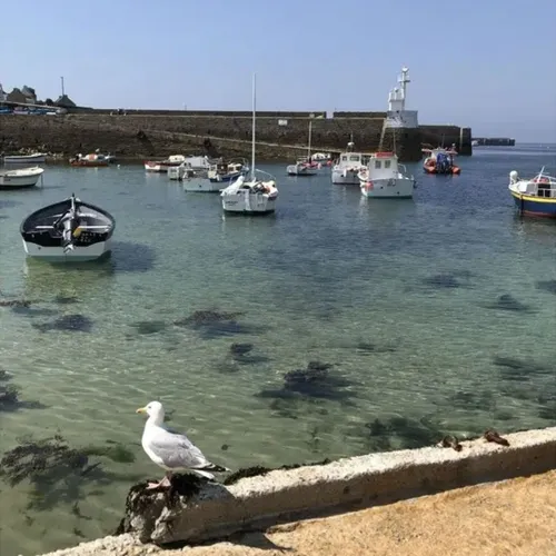 Molène : une île hors du temps