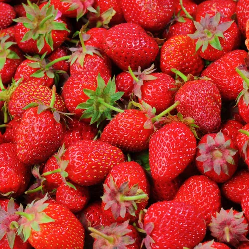 Recette: Fraises au gingembre confit kiwi et pamplette