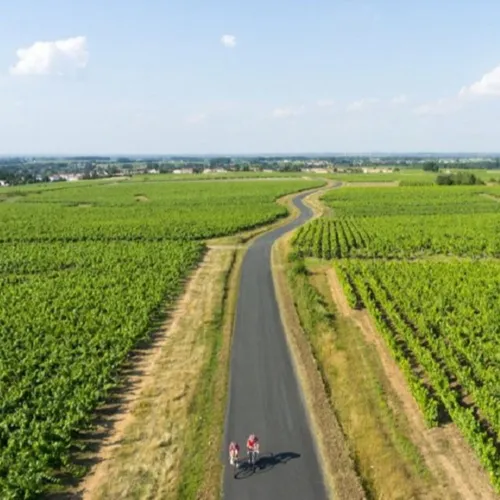 De Nantes à Clisson : voyage dans le vignoble