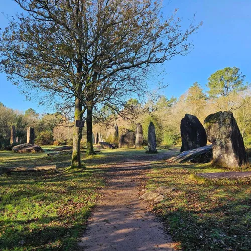 Monteneuf : entre landes et menhirs
