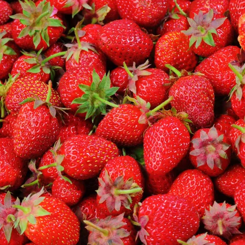 Recette: Fraises au gingembre confit kiwi et pamplette